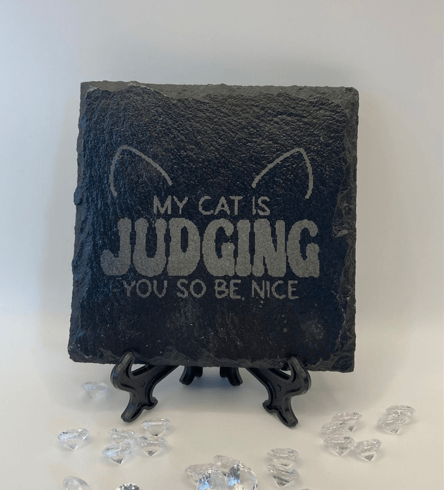 The Judging Cat