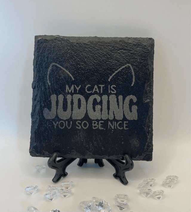 The Judging Cat