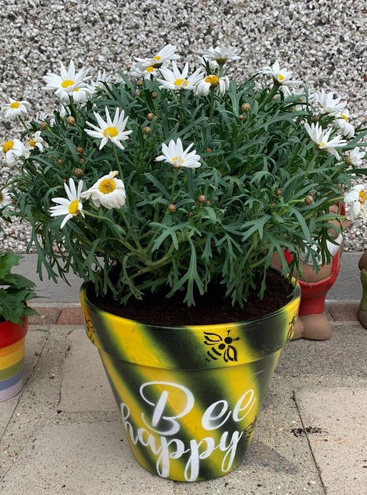 Air Brushed Flower Pot from £9.99